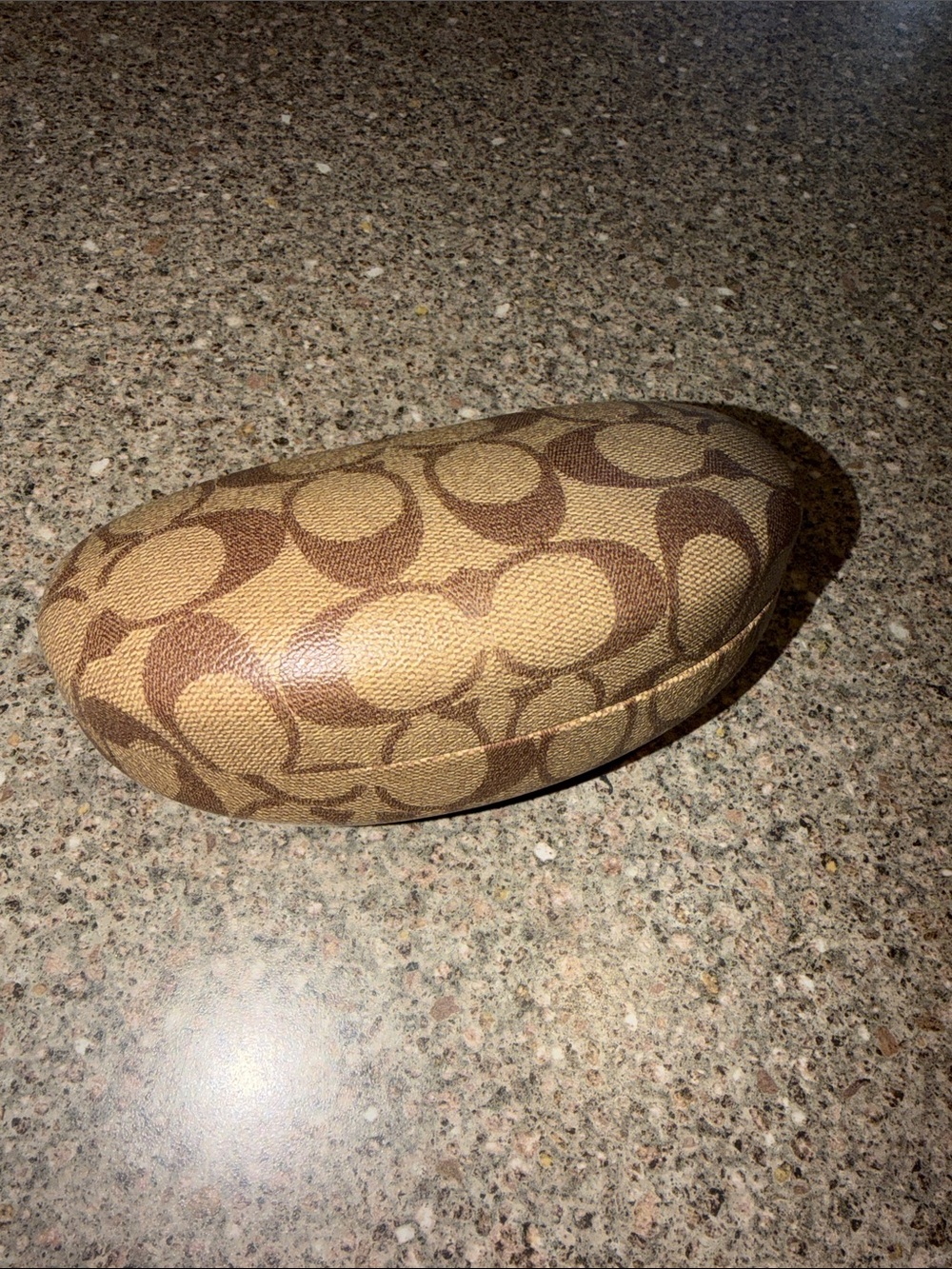 Coach Glasses Case